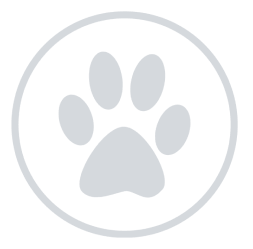 НАШИЯТ АНГАЖИМЕНТ КЪМ ЗДРАВЕТО НА ЖИВОТНИТЕ | elmex®