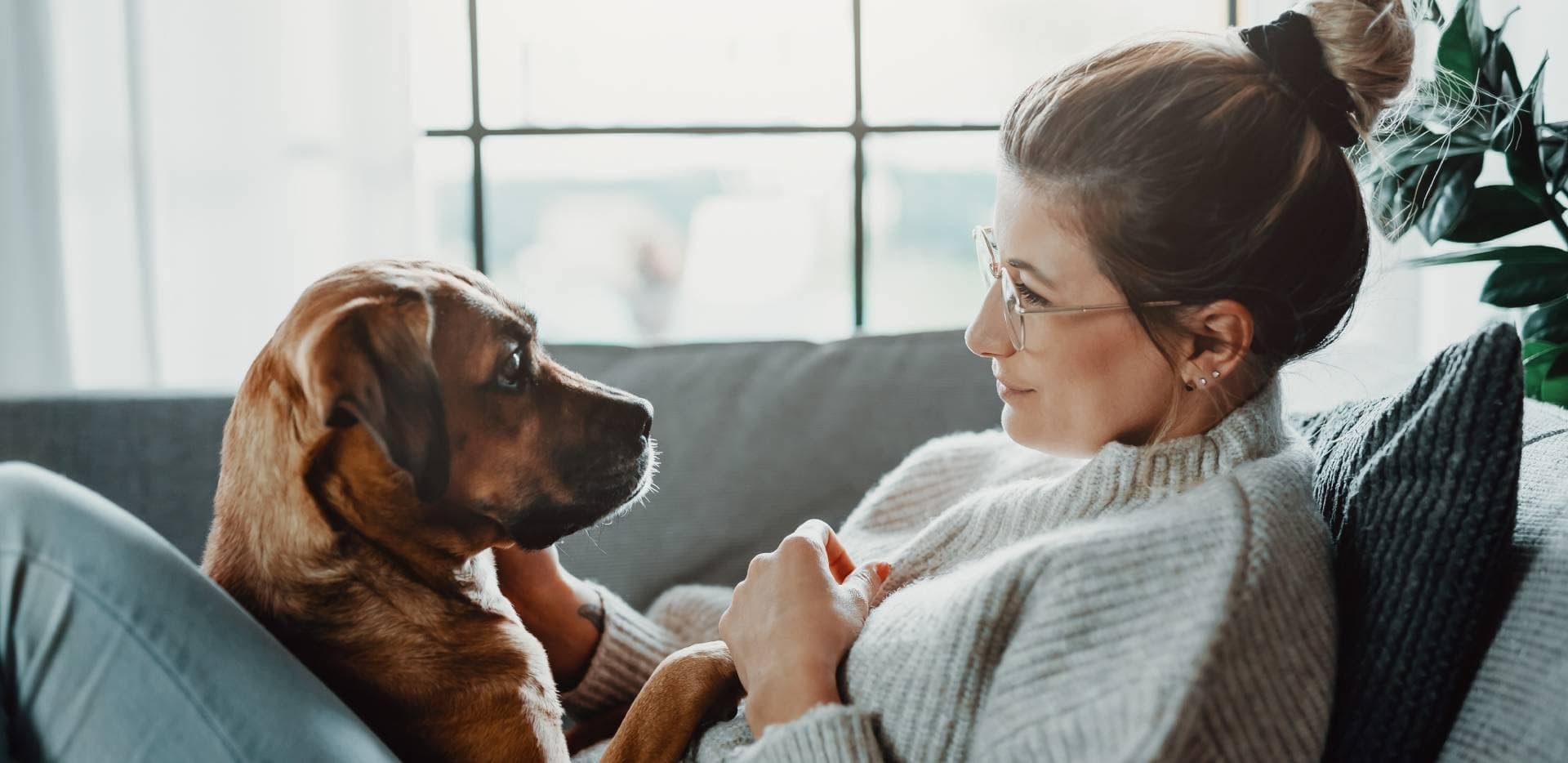 Нашият ангажимент към грижата за животните